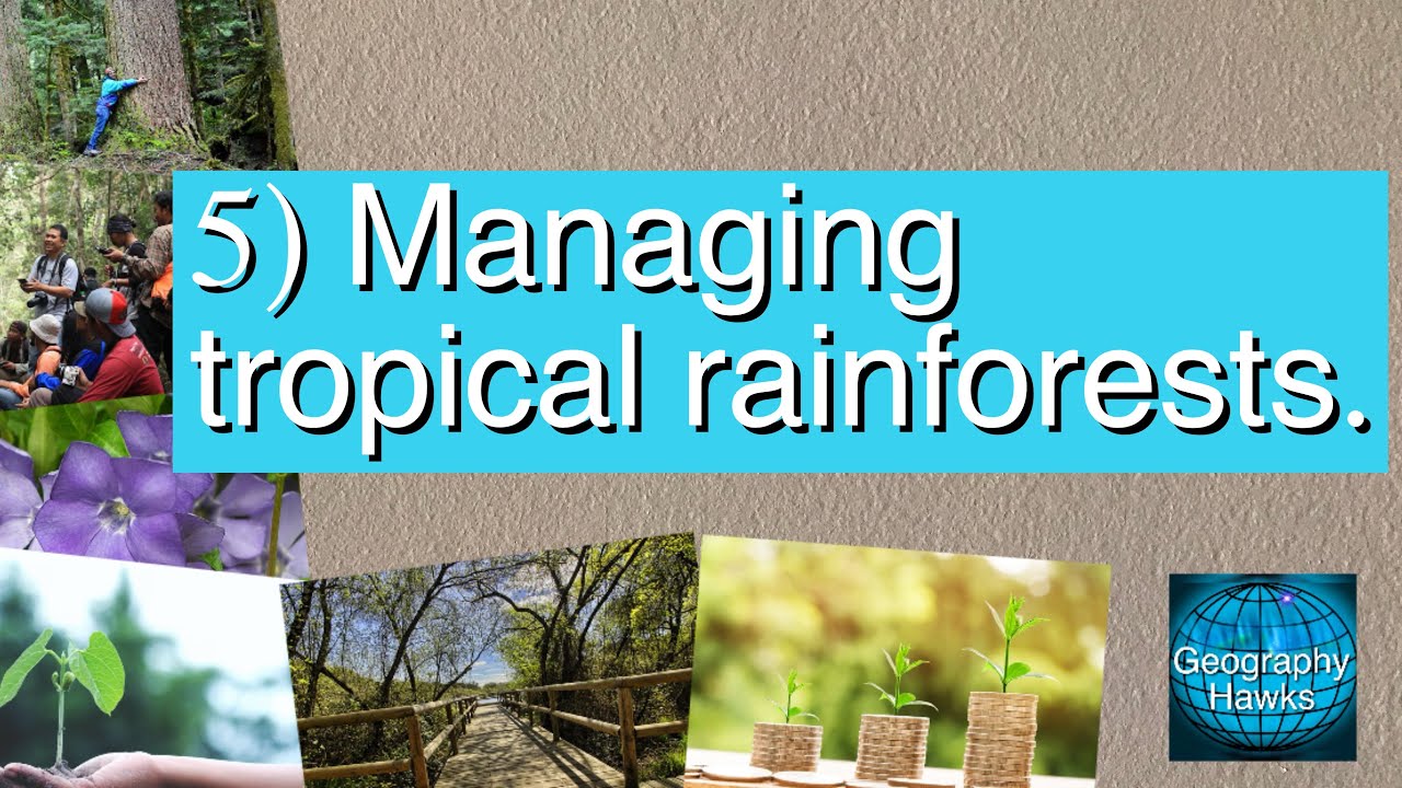 5) Managing tropical rainforests - Powered by @GeographyHawks
