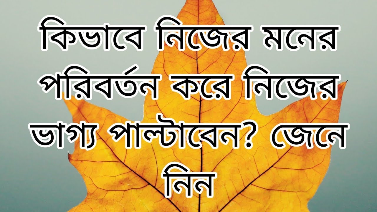 কিভাবে নিজের মনের পরিবর্তন করে ভাগ্য পাল্টাবেন? আসুন জেনে নি 🙏