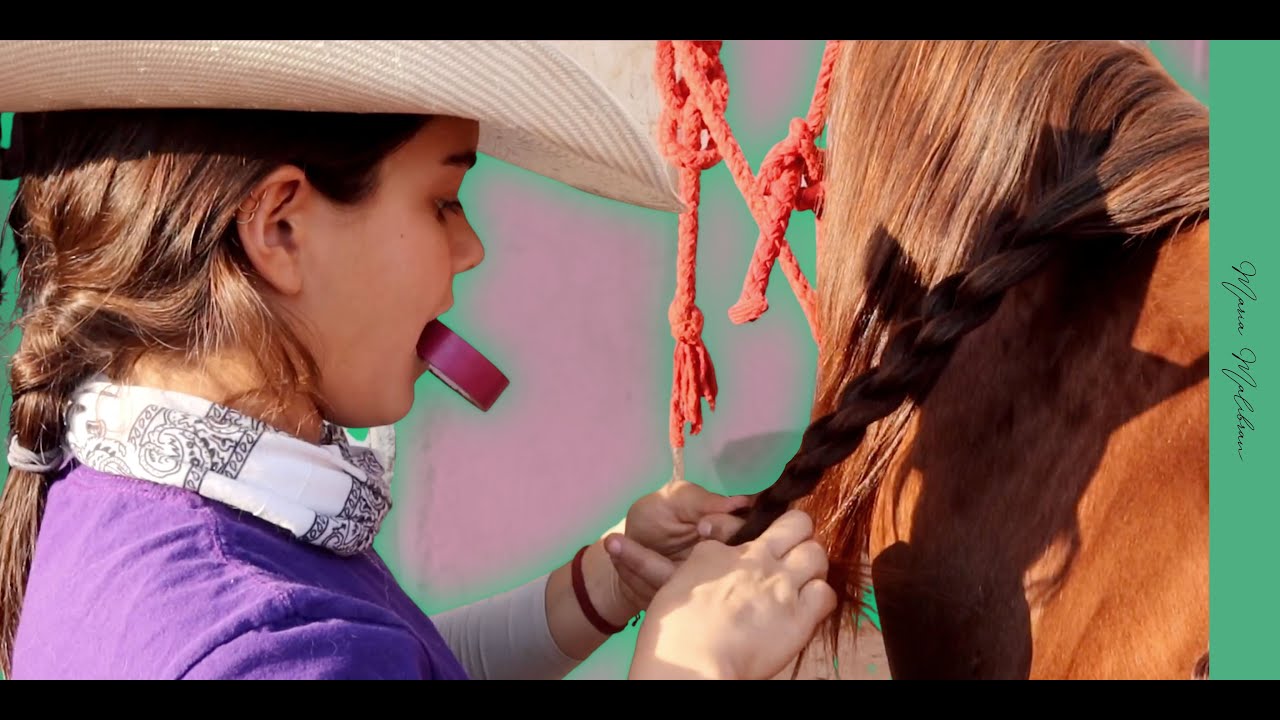 Cómo PEINAR y TRENZAR a tu caballo 🤠 Miniclip 🤠