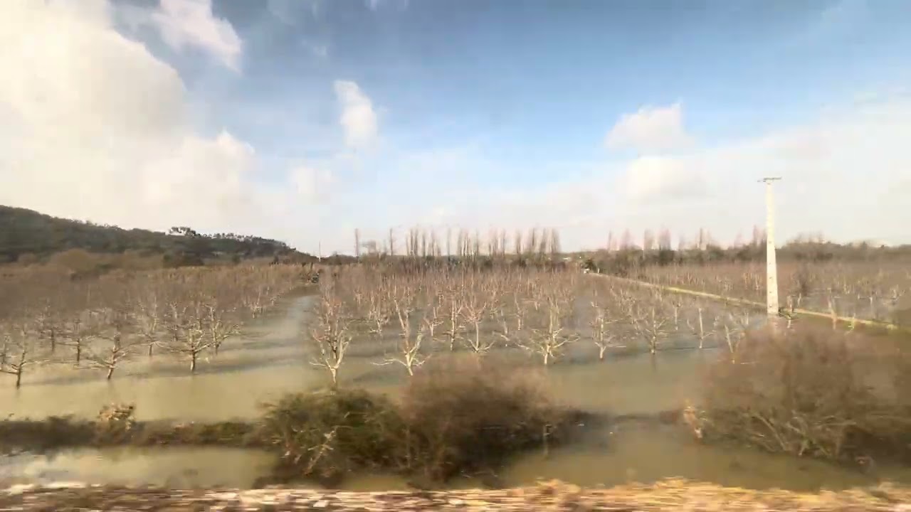 Lisbon, train ride from Santarém to Vale de Figueira 