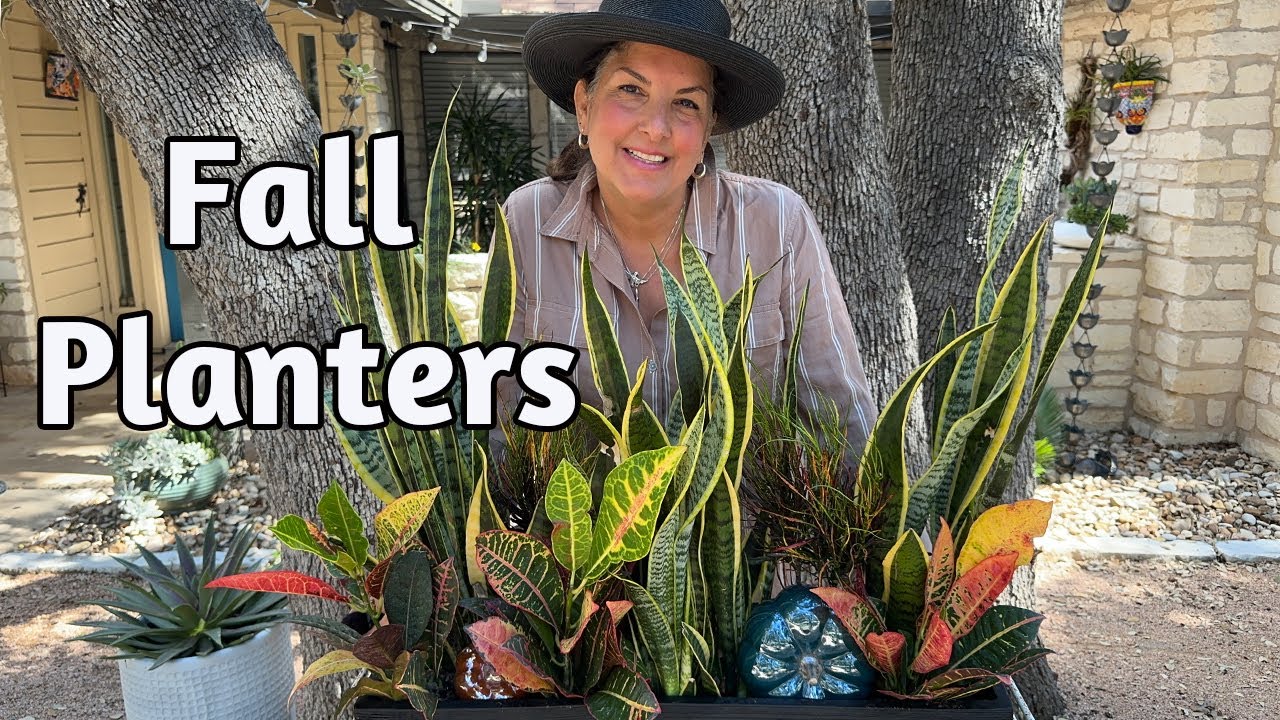 High Impact Planters In The Garden