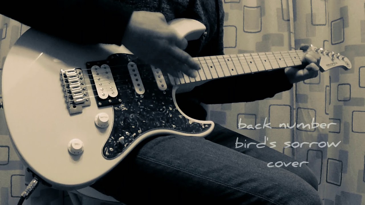 back number bird's sorrow cover