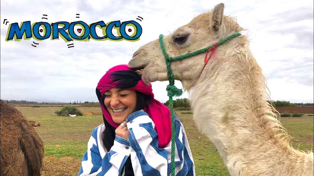 BIT BY A BABY CAMEL :: ROAD TRIP TO THE ATLAS MOUNTAINS, MOROCCO