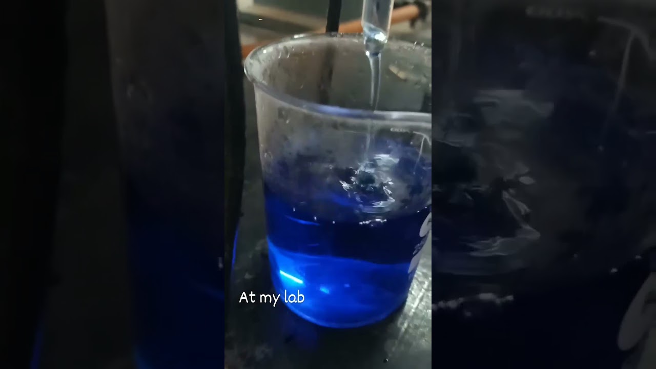 Msc Laboratory Experiment