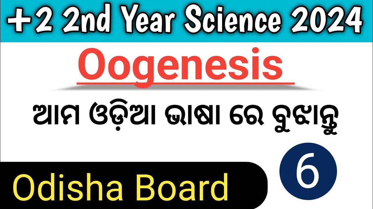 Human reproduction class 12th|| Oogenesis Process||Odisha Chse Board 2024@Deepaksunaacademy