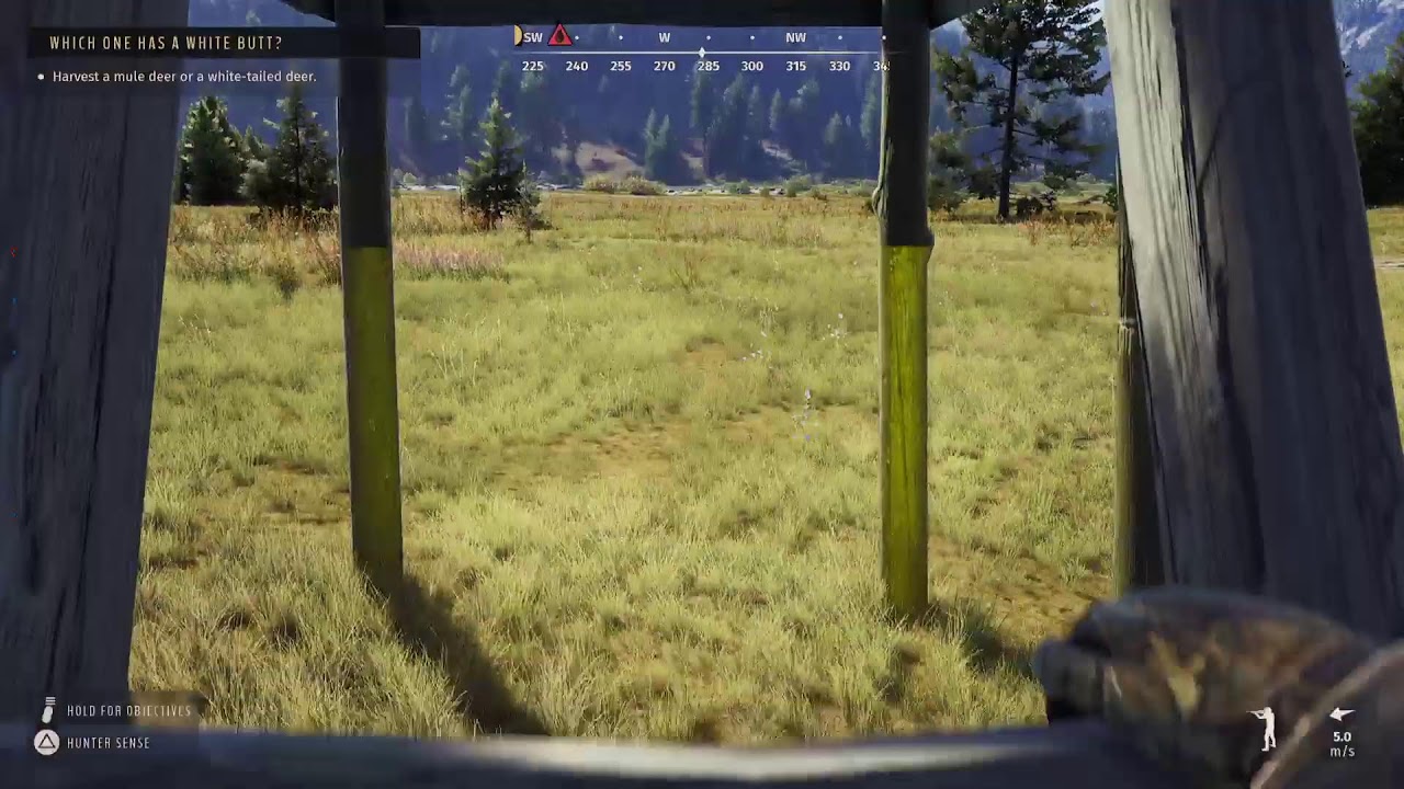 Hunting season