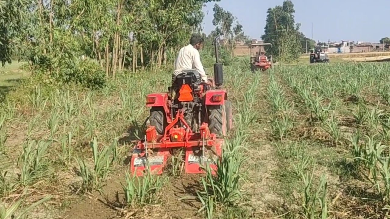 एक सिलेंडर छोटे ट्रैक्टर पर चलने वाला छोटा रोटावेटर जो 28 इंची से 36 इंच तक करेगा गन्ना जुताई