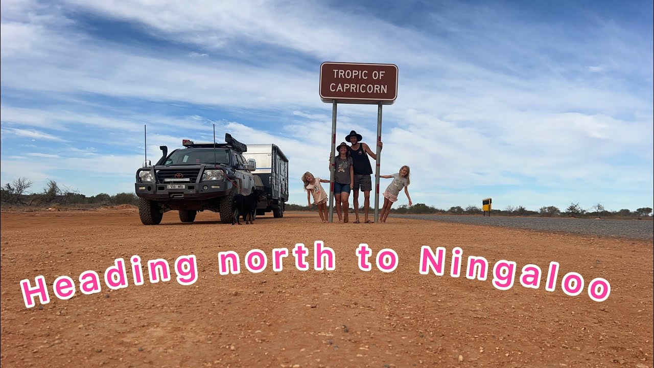 we head north to Ningaloo marine park