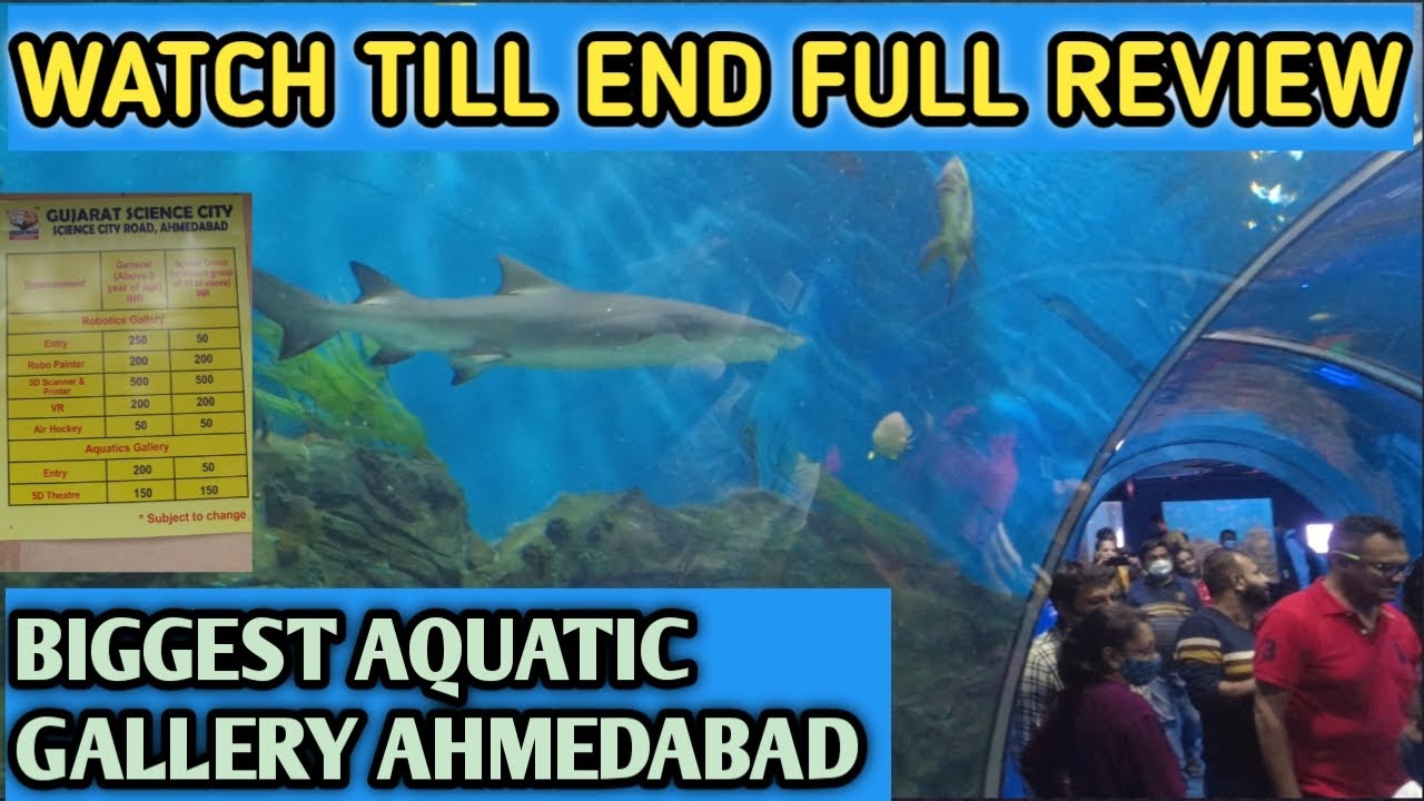 Aquatic Gallery Ahmedabad | Penguin at Science city Ahmedabad|biggest aquatic gallery ahmedabad