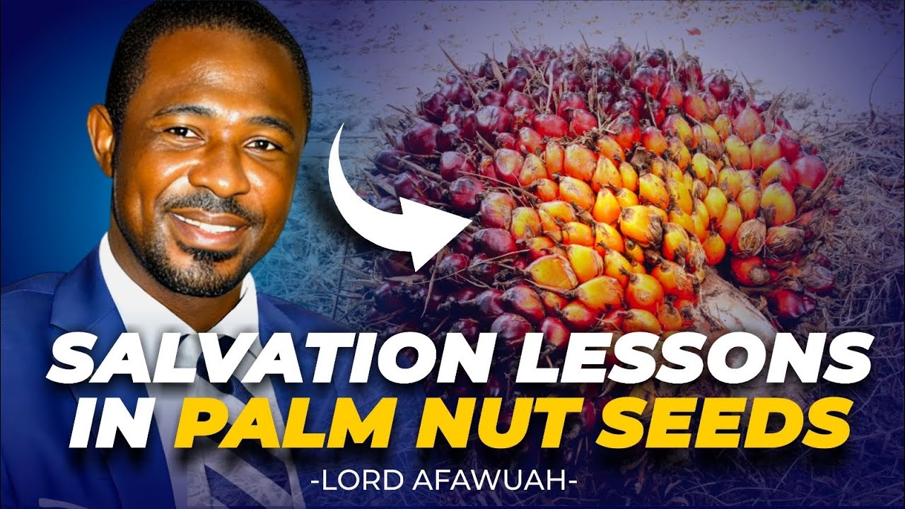 SALVATION LESSONS IN PALM SEEDS. BY PASTOR LORD AFAWUAH