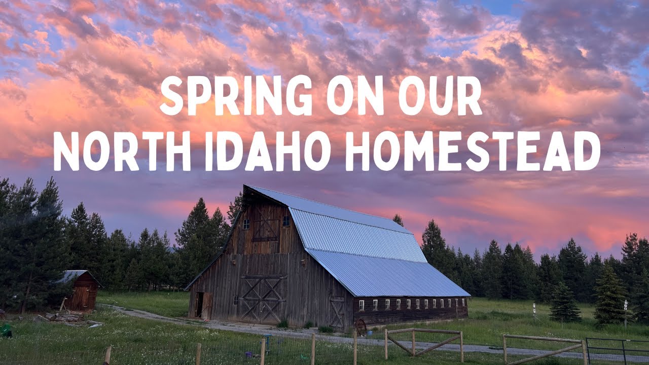 Spring Projects on Our North Idaho Homestead | Bee hive set up & fencing