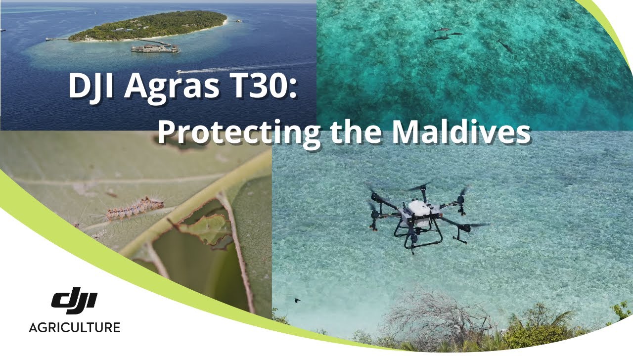 Using DJI Agras T30 to protect the Maldives from  Caterpillars | DJI Agras Case Study