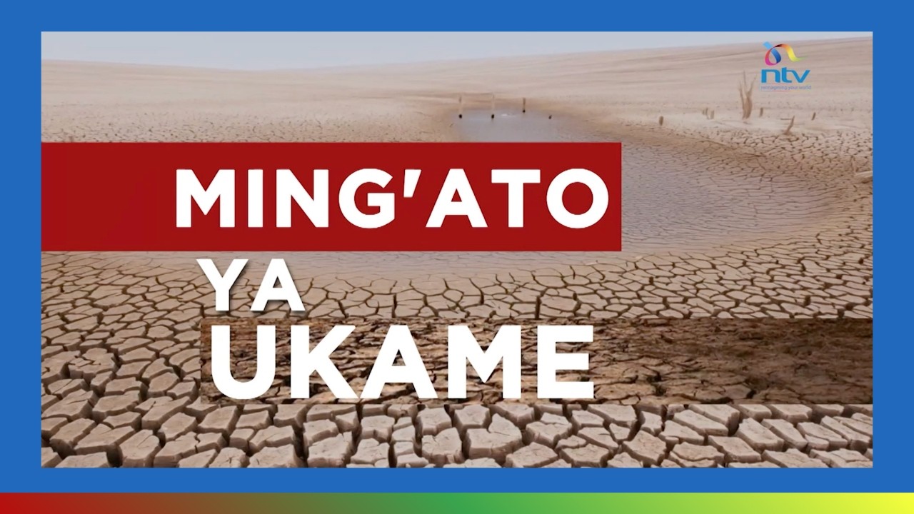 Mingato Ya Ukame | Maelfu ya mifugo waangamia na wakazi kubaki kwenye hatari ya njaa