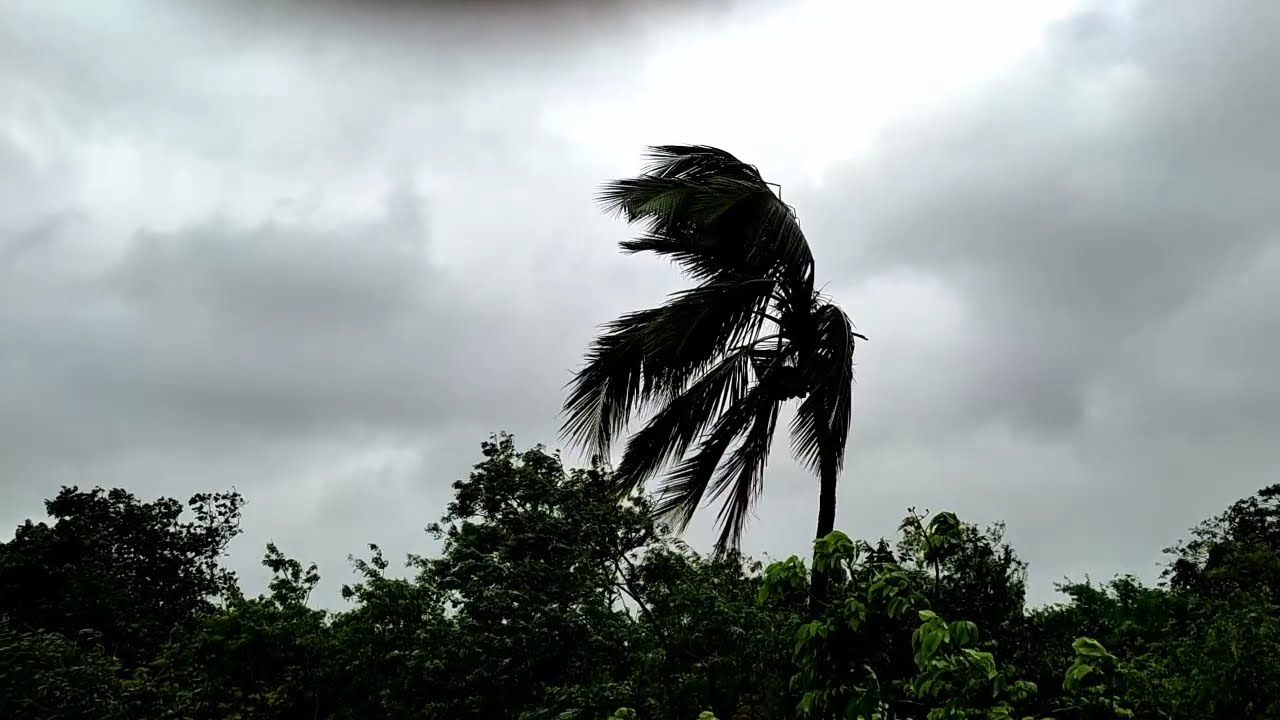 Yaas Cyclone Landfall, Till Now All Plants Are Safe.