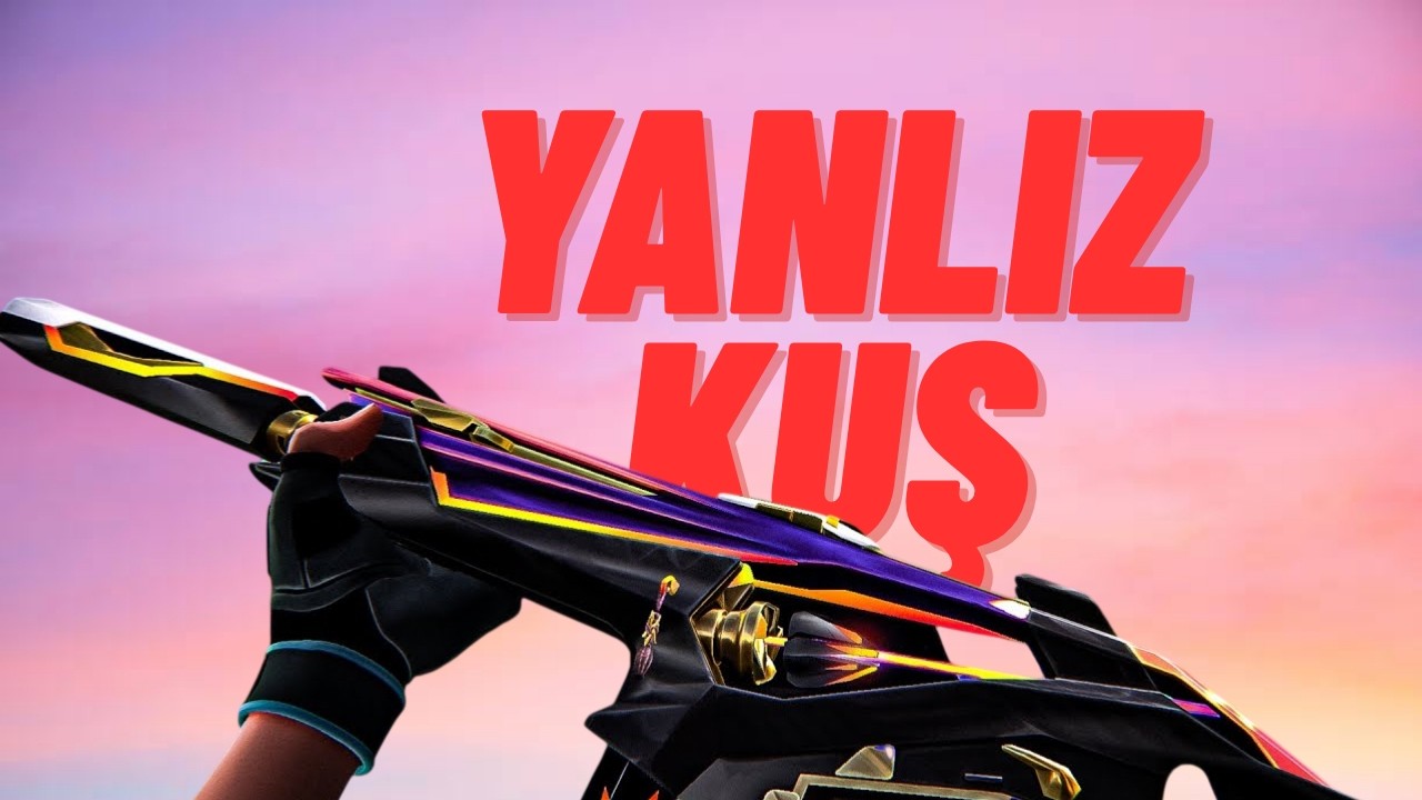 Yanlız Kuş..