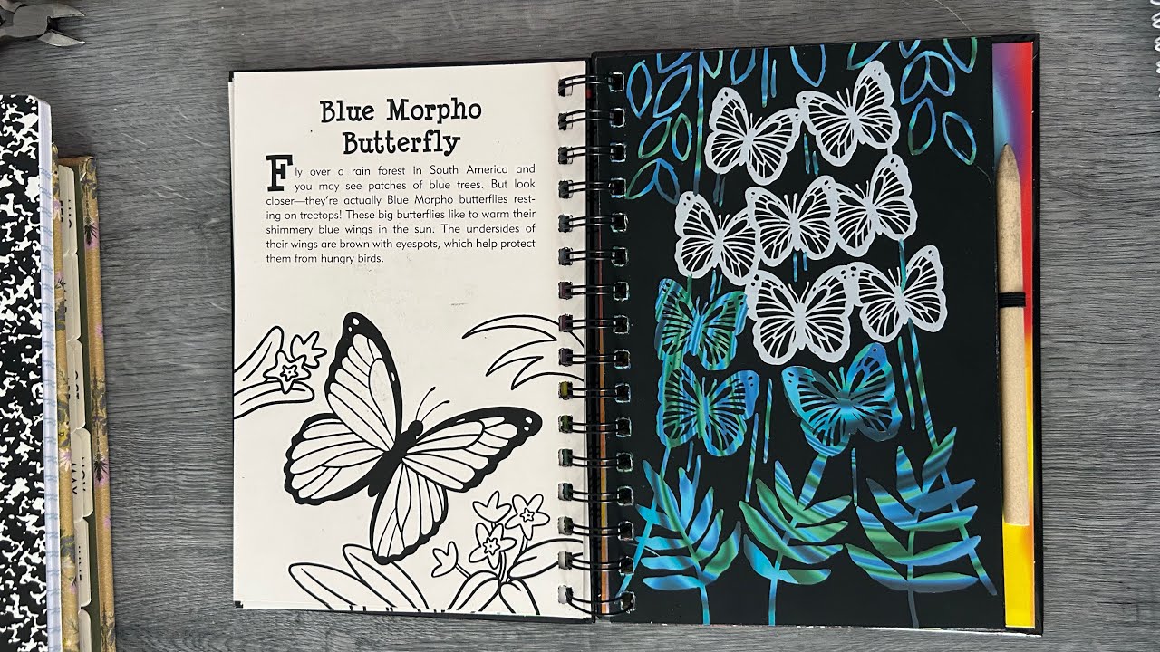 #coloryourcalmcollab, организованный @CindyALewis и @Disneyandcoloringwithjamie