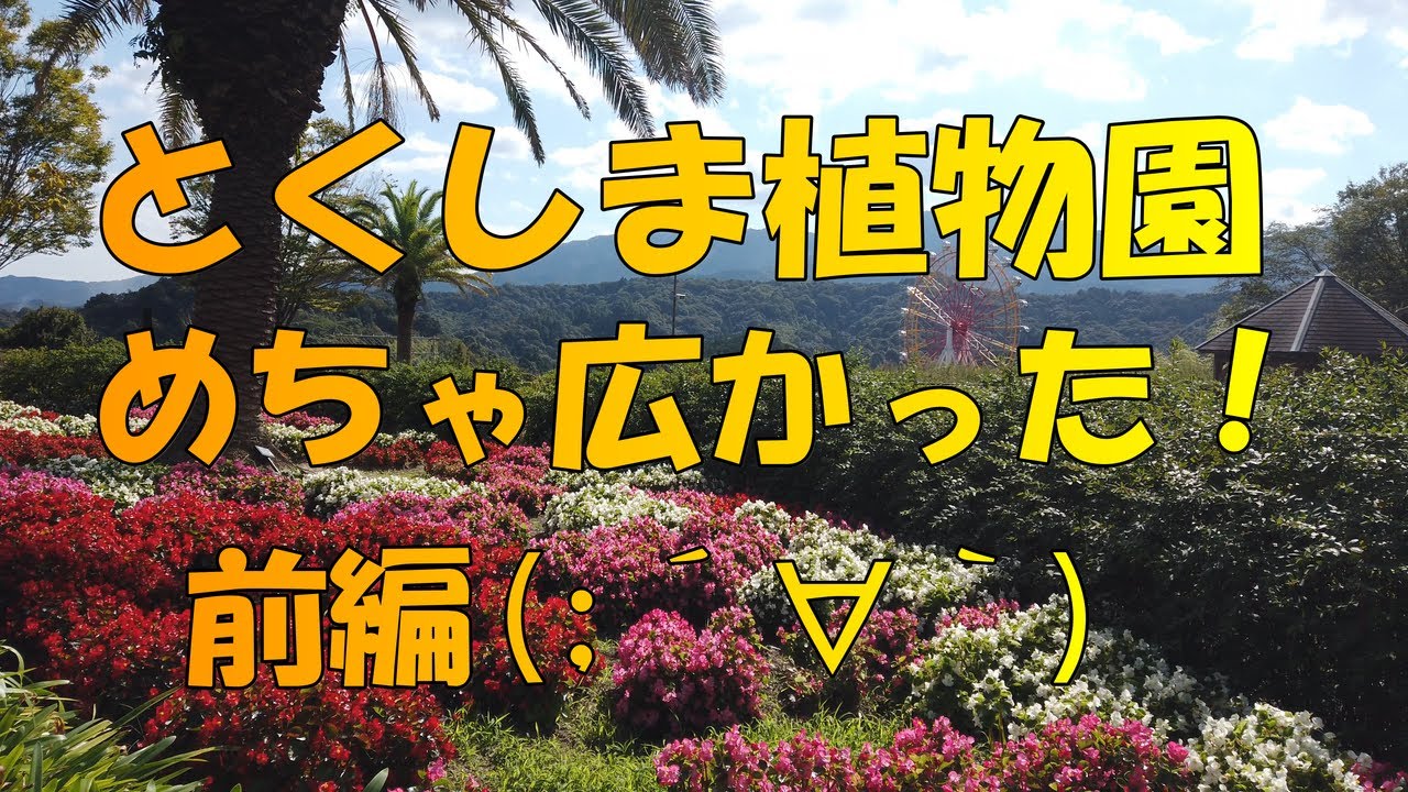 【植物園】　とくしま植物園に行ってみた！（前編）　【散歩】