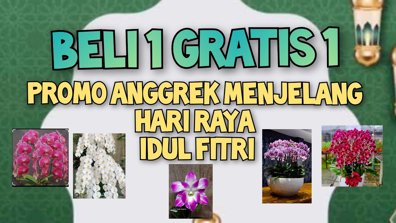 OBRAL ANGGREK BELI 1 GRATIS 1. ADMIN 085655696848🌷🌷🤩🤩