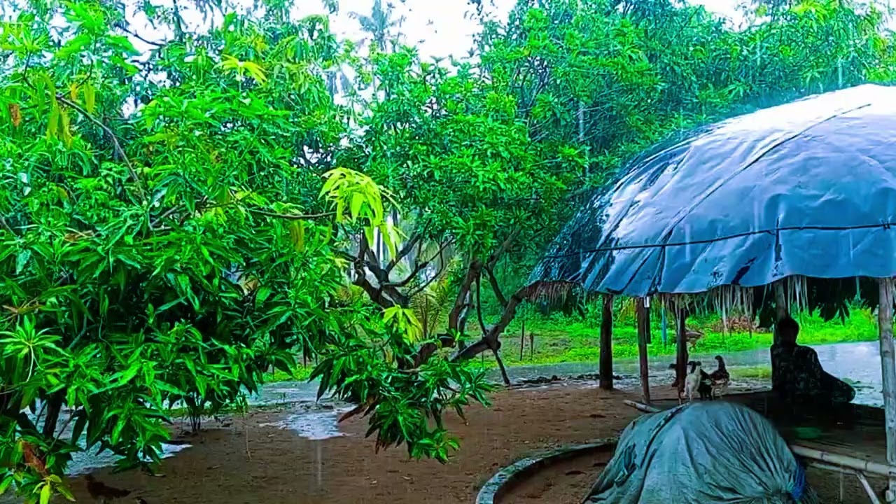 Rain Sounds For Sleeping 99% Makes You Sleepy -  relaxing sounds for sleep no ads