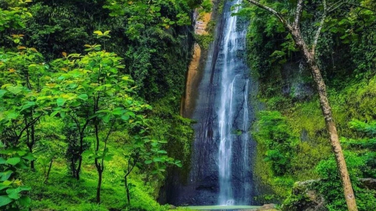 Petualangan Seru Menembus Hutan Menuju Curug Sidoharjo Kulon Progo!