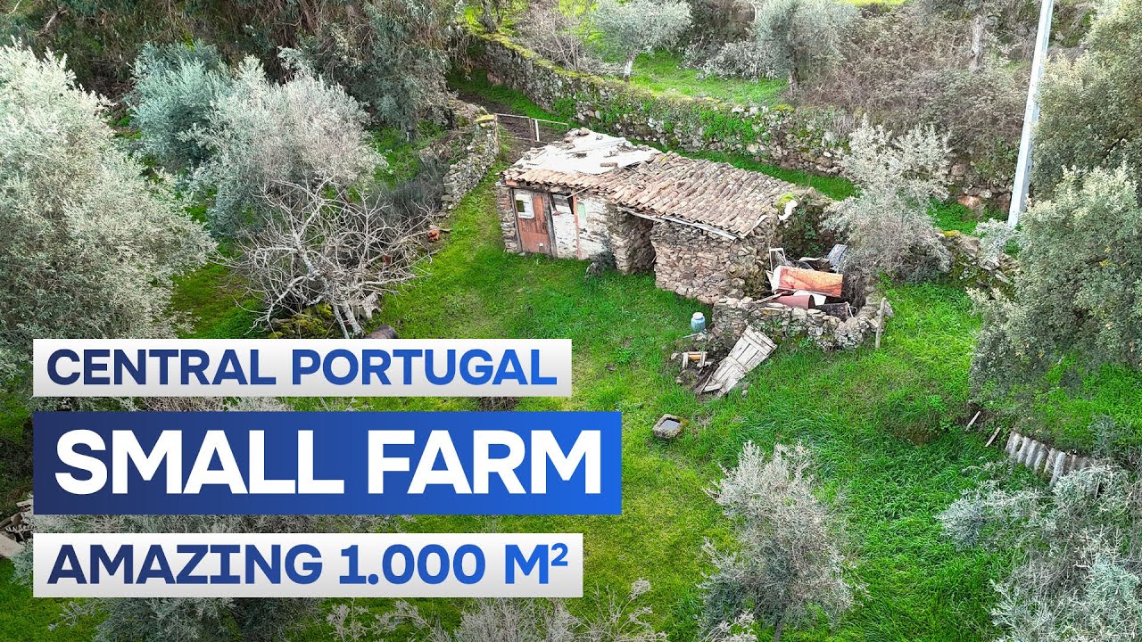 Off-Market Before Launch | Portuguese Countryside Quinta Tour