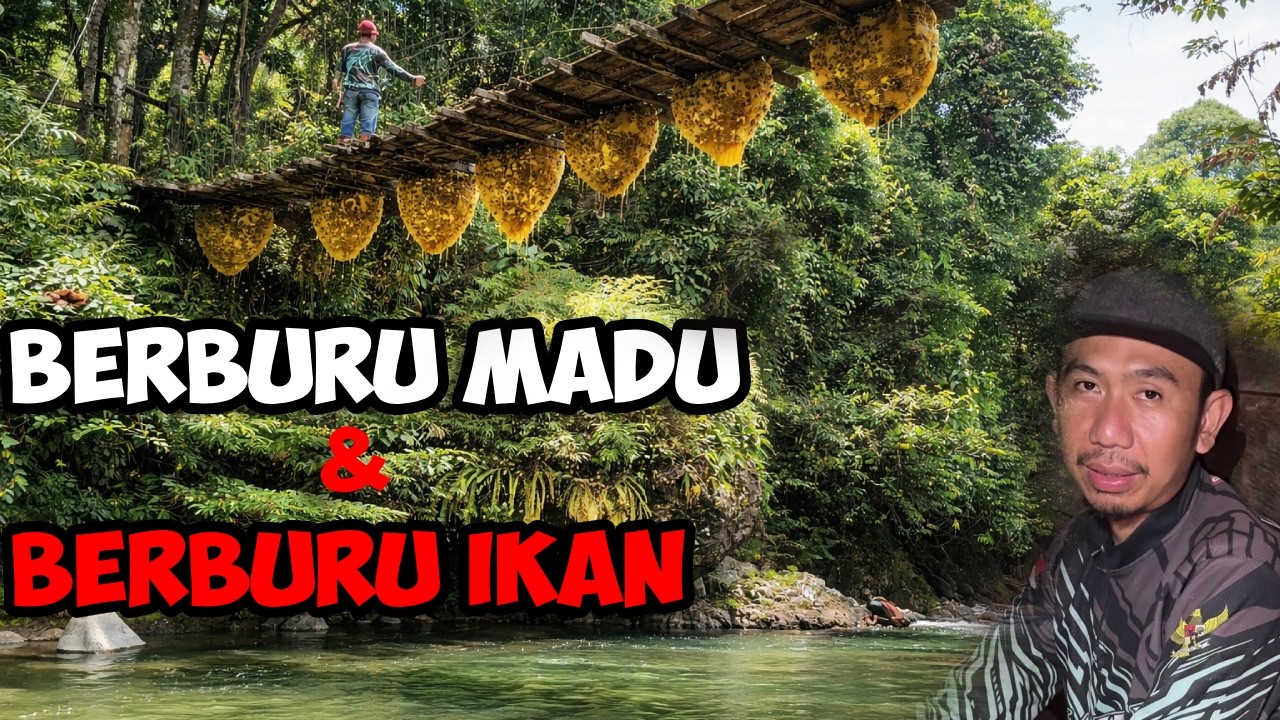 Petualangan Berburu Madu Liar & Mencari Ikan Mungkus Di Sungai Yang Jernih
