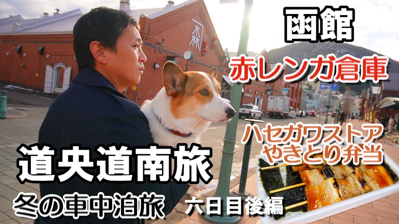【北海道】道央道南の旅六日目後編。函館赤レンガ倉庫で愛犬と散歩、名物ハセガワストアのやきとり弁当で車中飯。キャンピングカーで車中泊の旅をするアラフィフ夫婦のバンライフ。快適な車上生活の紹介！