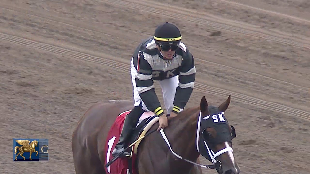 Gulfstream Park Replay Show | May 24, 2018