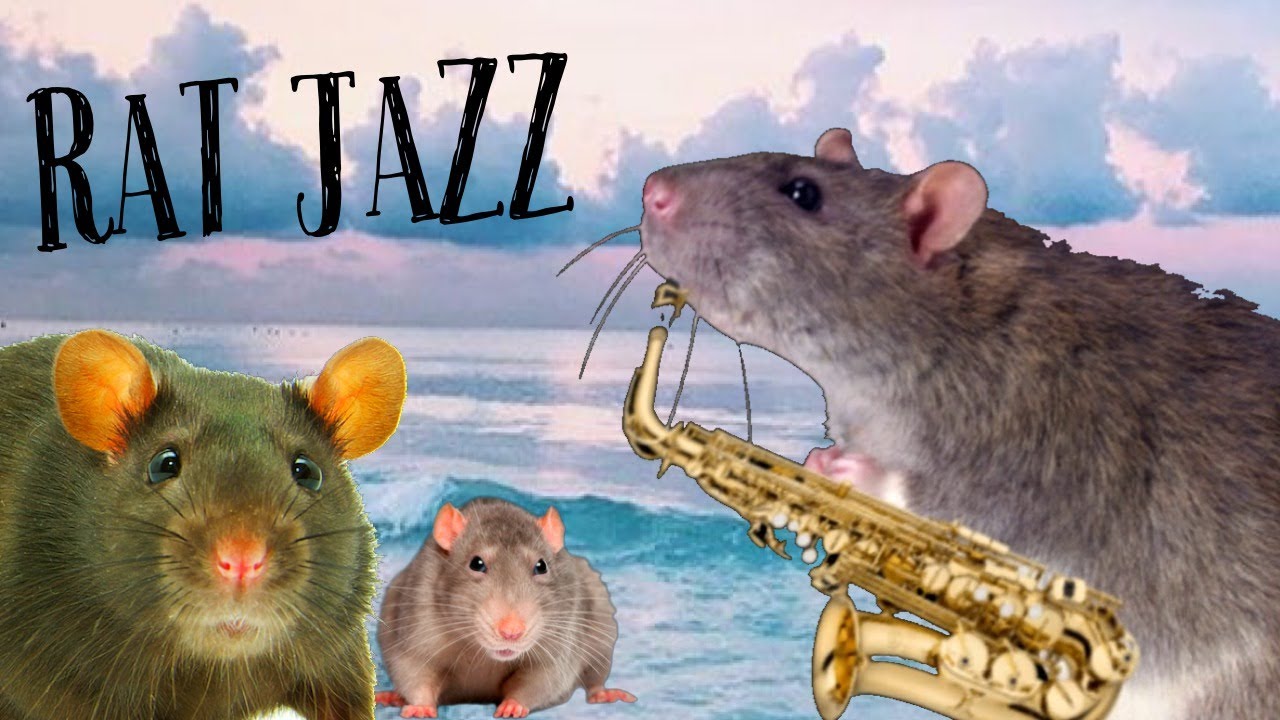 Rats & Jazz (Very Cool)