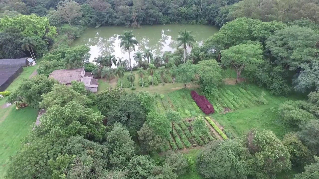 Viveiro de Mudas - Parque Ecol&oacute;gico do Tiet&ecirc;