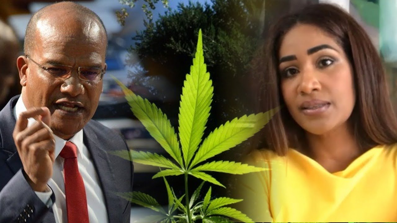 Editors Forum | Lisa Hanna on Senate seat, ganja and Bunting