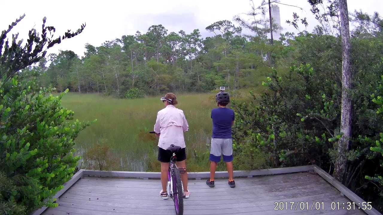 SWA BUTTERFLY & DRAGONFLY TRAILS | Community