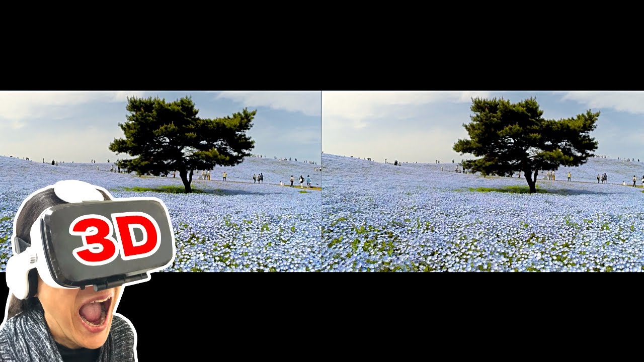3D видео СБС - Нельзя пропустить! Море Немофилы в Приморском парке Хитачи
