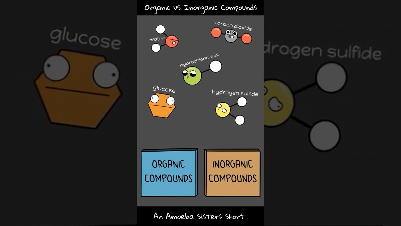 Inorganic vs Organic Compounds- Amoeba Sisters #Shorts