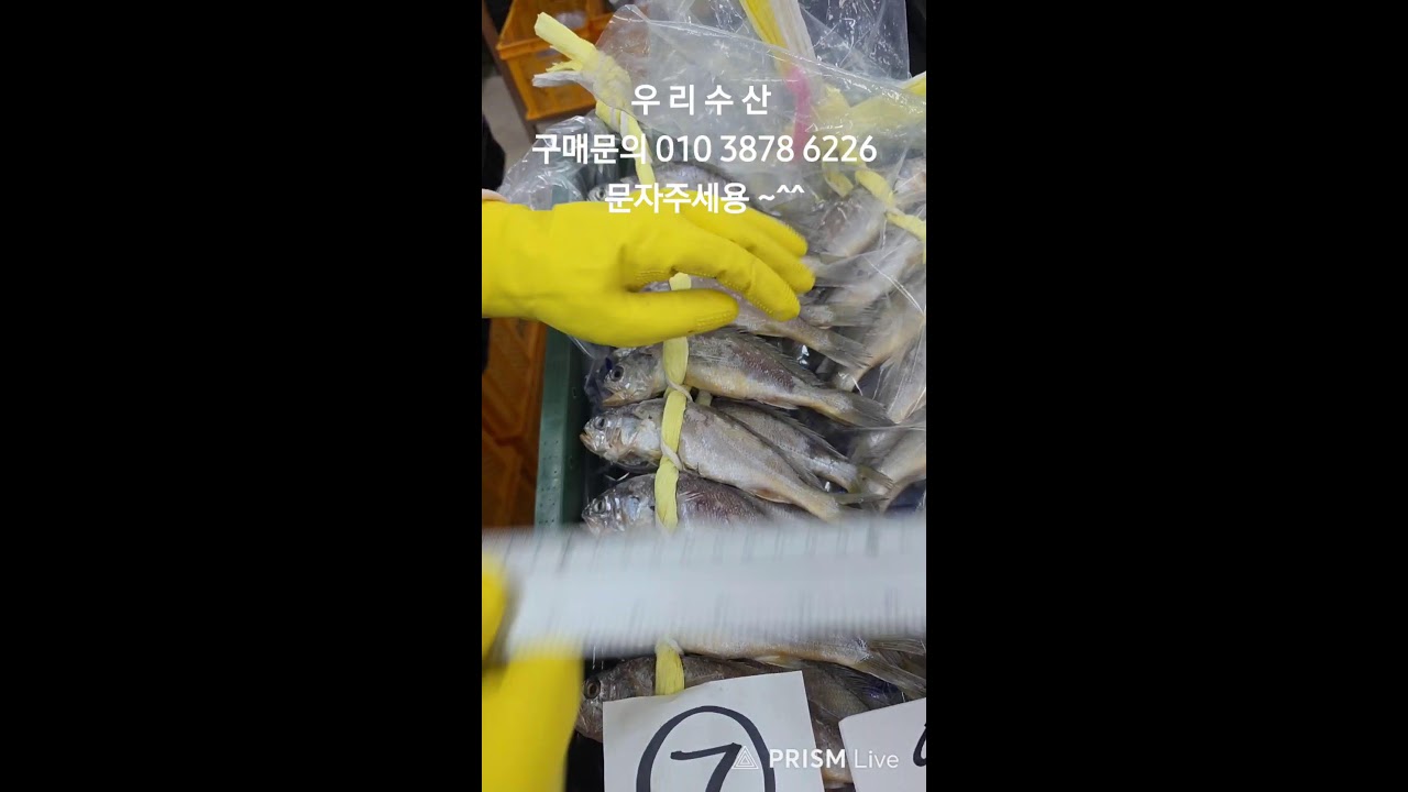 우리수산 라이브 방송