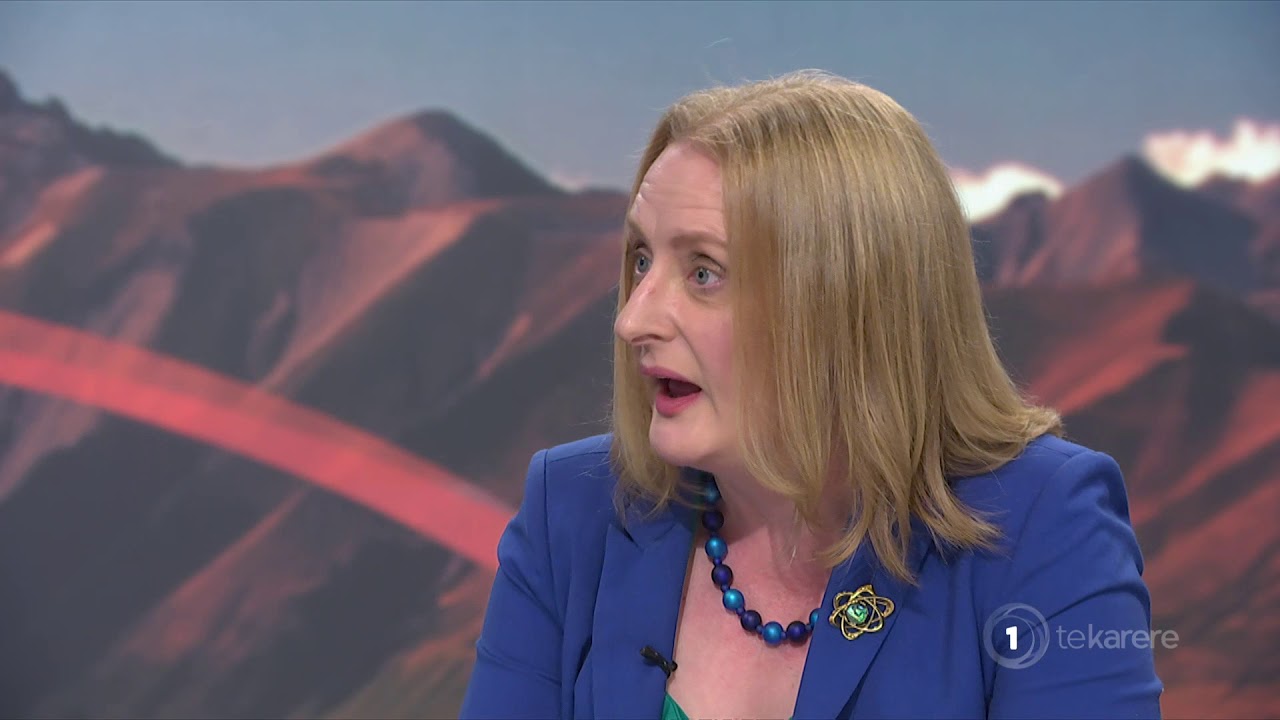 Oranga Tamariki boss concedes video of attempted baby uplift is disturbing