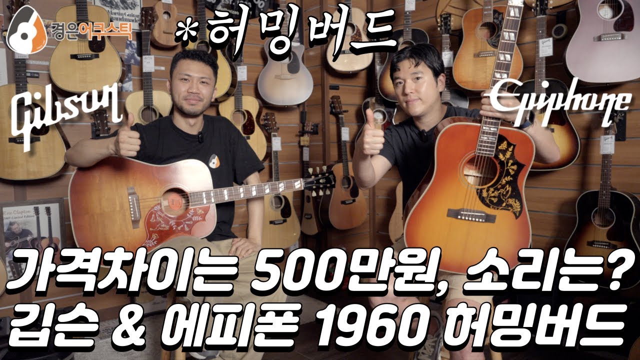 에피폰 vs 깁슨, 1960 허밍버드 기타 비교 (Epiphone 1960 Hummingbird Reissue vs. Gibson 1960 Hummingbird Guitar)