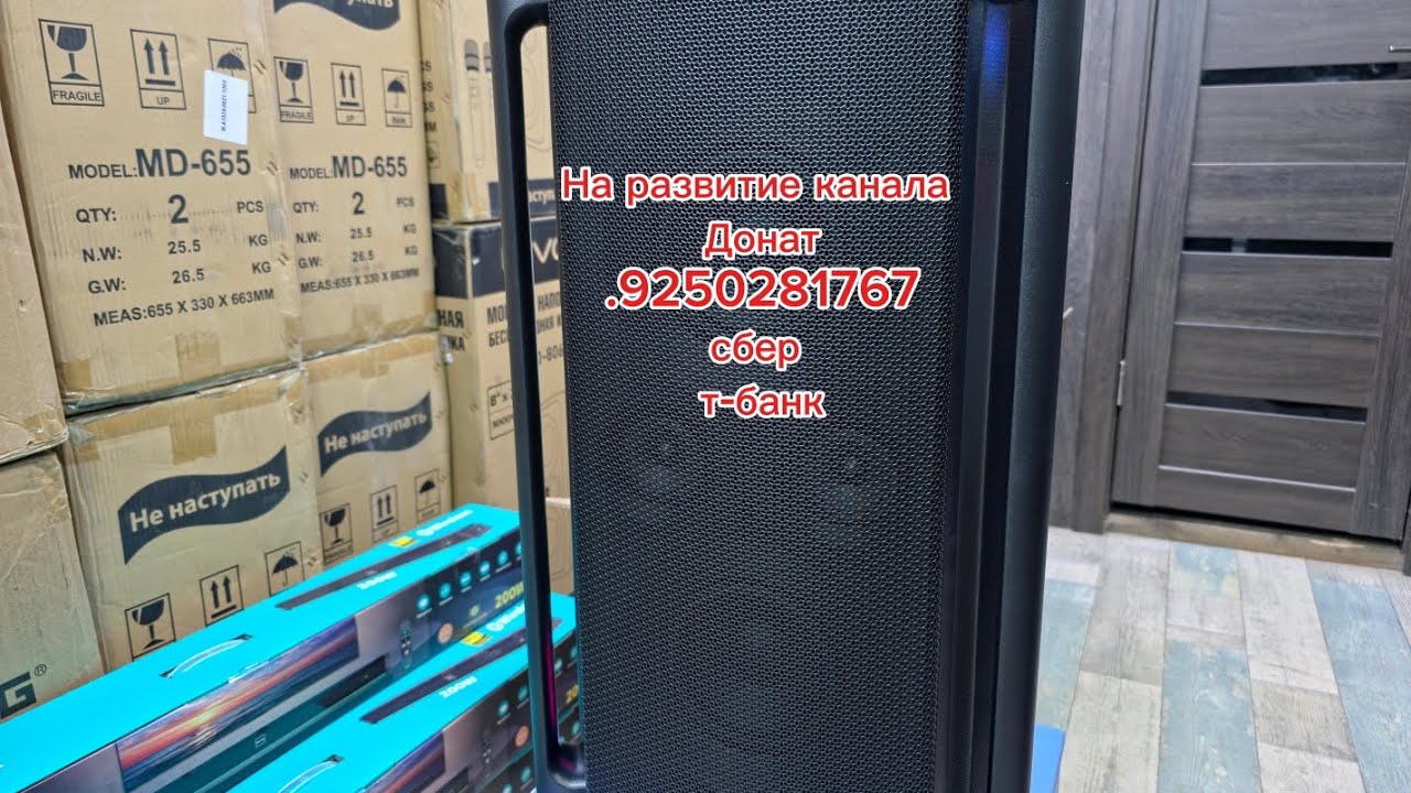 TCL TP200K Обзор распаковка ‼️Портативная акустическая система🔥Для поддержи канала цифры в описании 