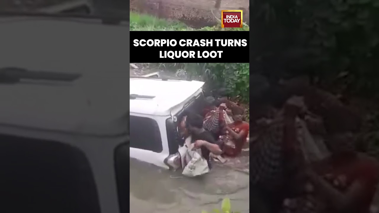 Scorpio Loaded With Liquor Falls Into Ditch | Locals Loot Bottles in Siwan, Bihar