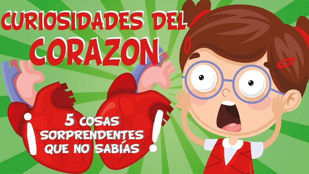 5 COSAS QUE NO SABÍAS DEL CORAZÓN | CURIOSIDADES FASCINANTES PARA NIÑOS
