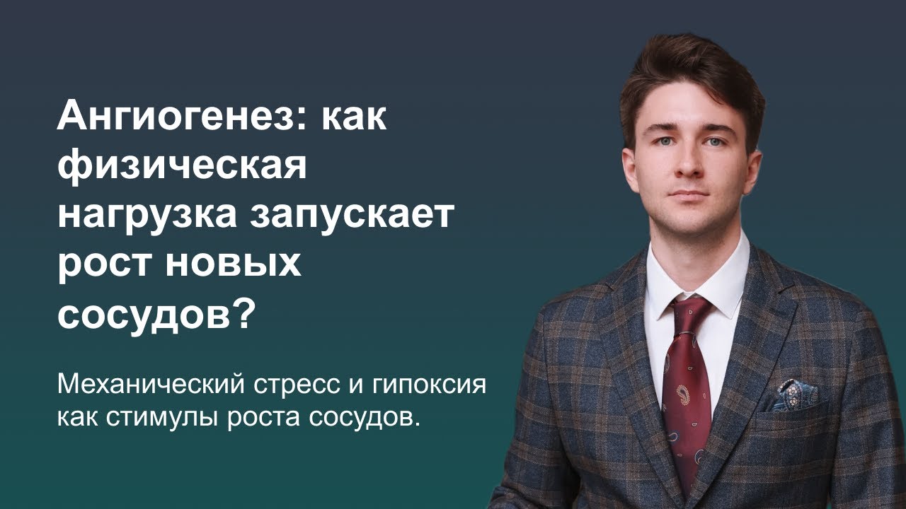Ангиогенез! Как физическая нагрузка запускает рост новых сосудов?