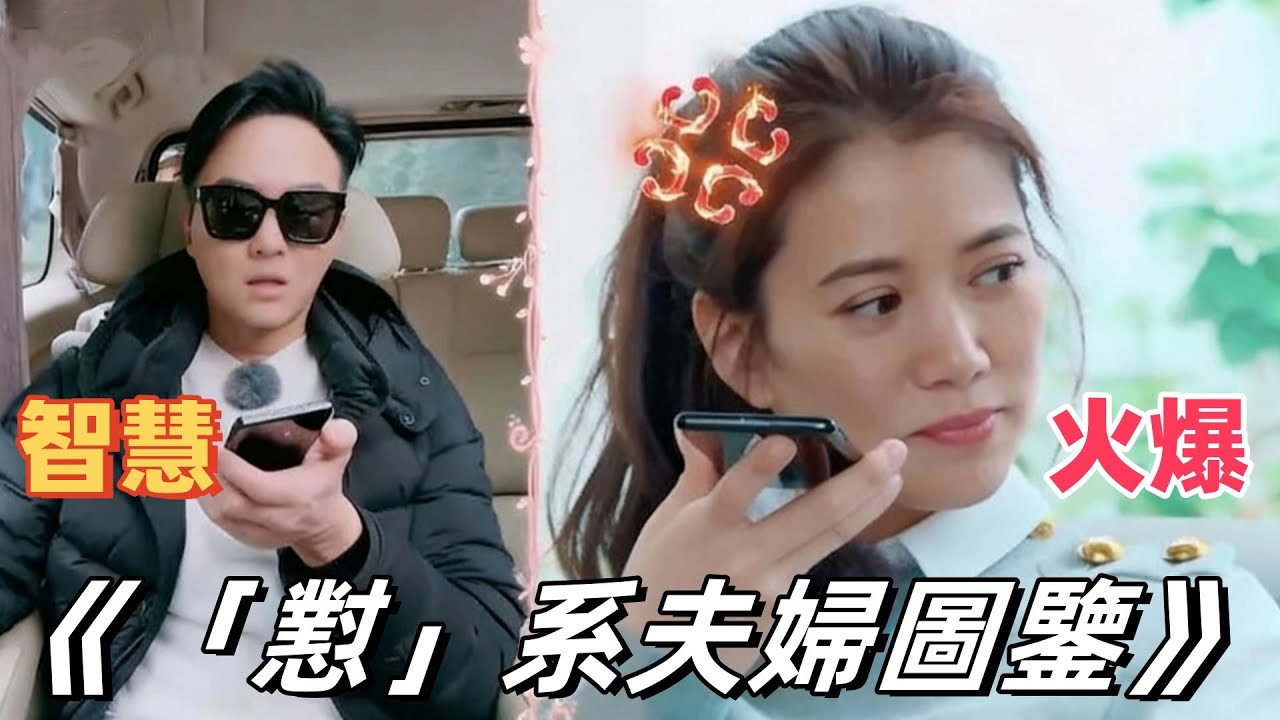 火爆的真谛与共生的智慧：解码袁咏仪与张智霖的关系范式#娱乐圈分析 #娱乐八卦 #袁咏仪 #张智霖 #明星婚姻 ##模范夫妻