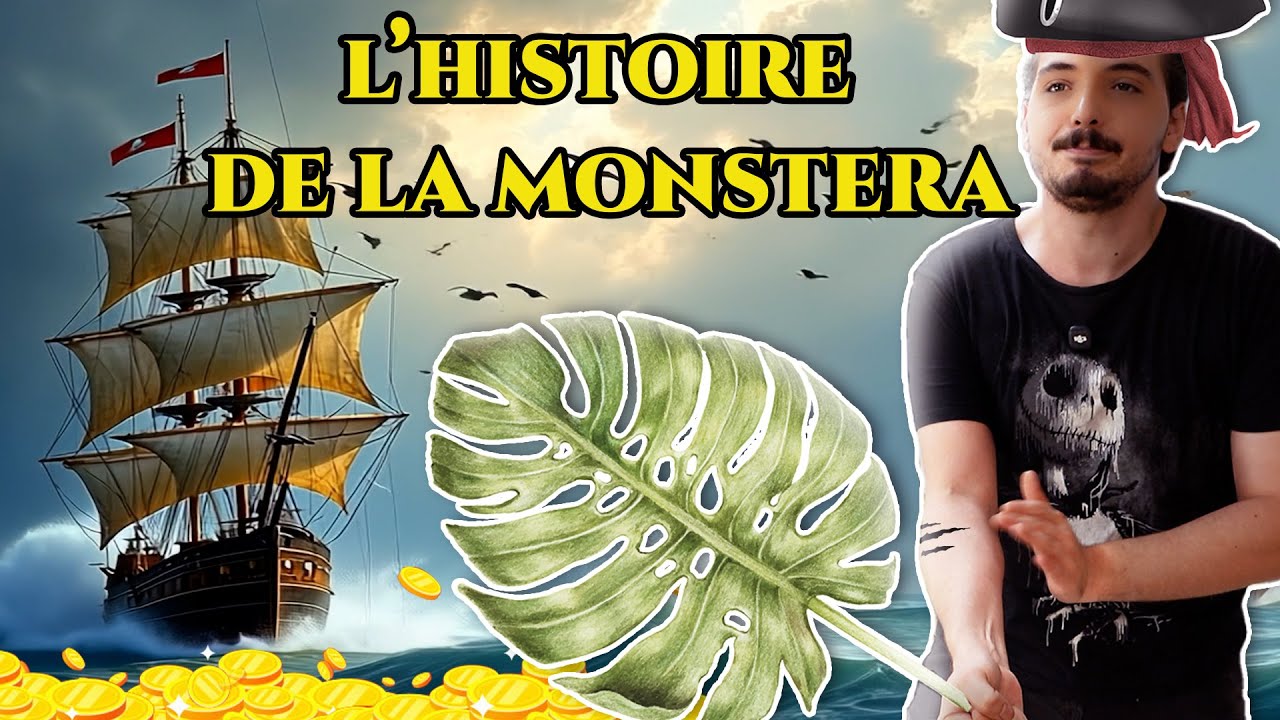 La VERITABLE histoire de la monstera !