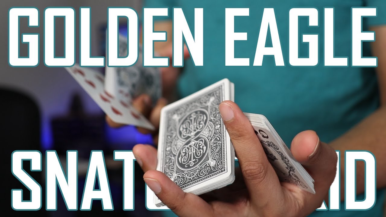 Learn Golden Eagle Snatches Kid | LEARN WITH ME!