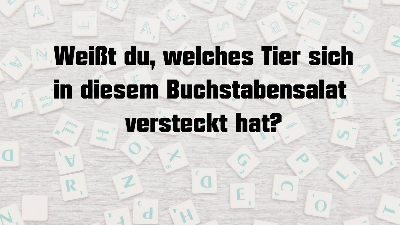 Buchstabensalat Tiere