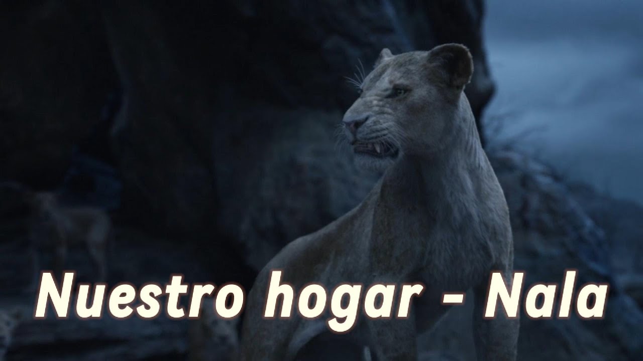 Nuestro hogar | Nala | El rey león Live Action | Castellano