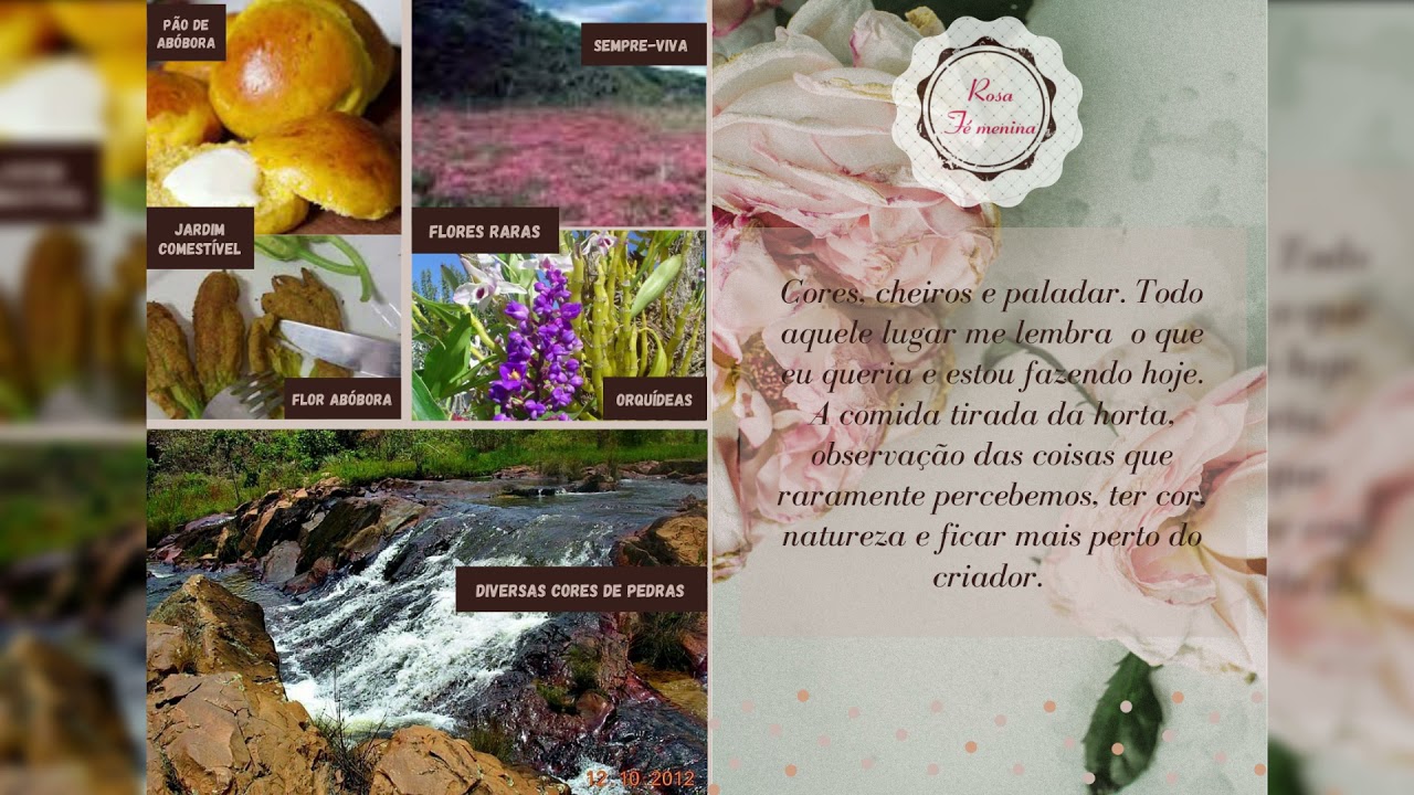 Atividades de Jardinismo de Interiores