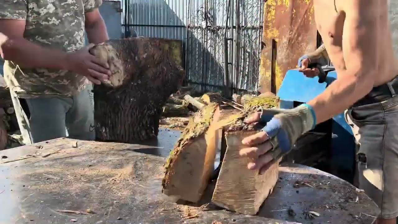 Total Forest Operation – Breaking Massive Stumps All Day