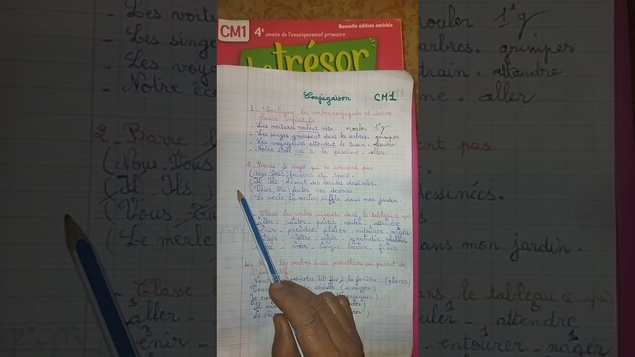 Évaluation n1. CM1. Le trésor des Mots