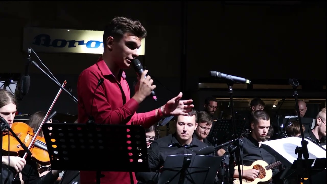ŽTO Stjepan Bujan Stipić i Martin Kosovec -  Green, Green Grass Of Home